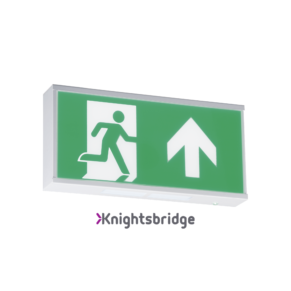 230V IP20 Wall Mounted LED Emergency Exit sign (maintained/non
