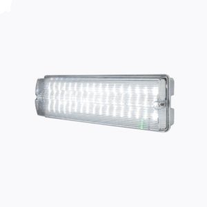 230V IP65 6W LED Emergency Bulkhead (maintained/non-maintained)