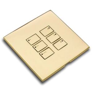 WP-EOS-xx-PB Polished Brass cover plate kit for EOS wired control modules