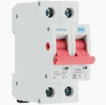 BG Nexus 100A DP Main Switch