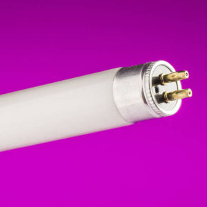 8w Fluorescent Tube Crompton Lamps FT128CW Cool White